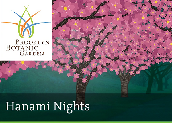 Brooklyn Botanic Garden Hanami Nights