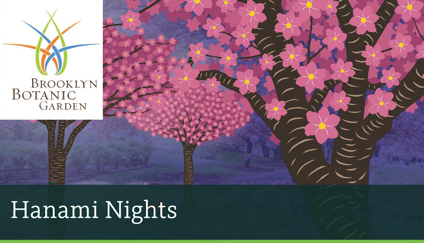Brooklyn Botanic: Hanami Nights 2026