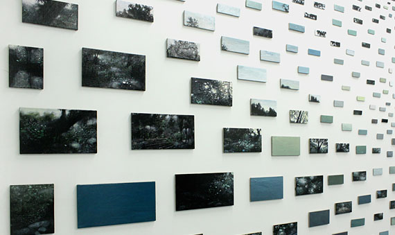 The Approach (detail),  2011,  333 panels, 120" x 192"
