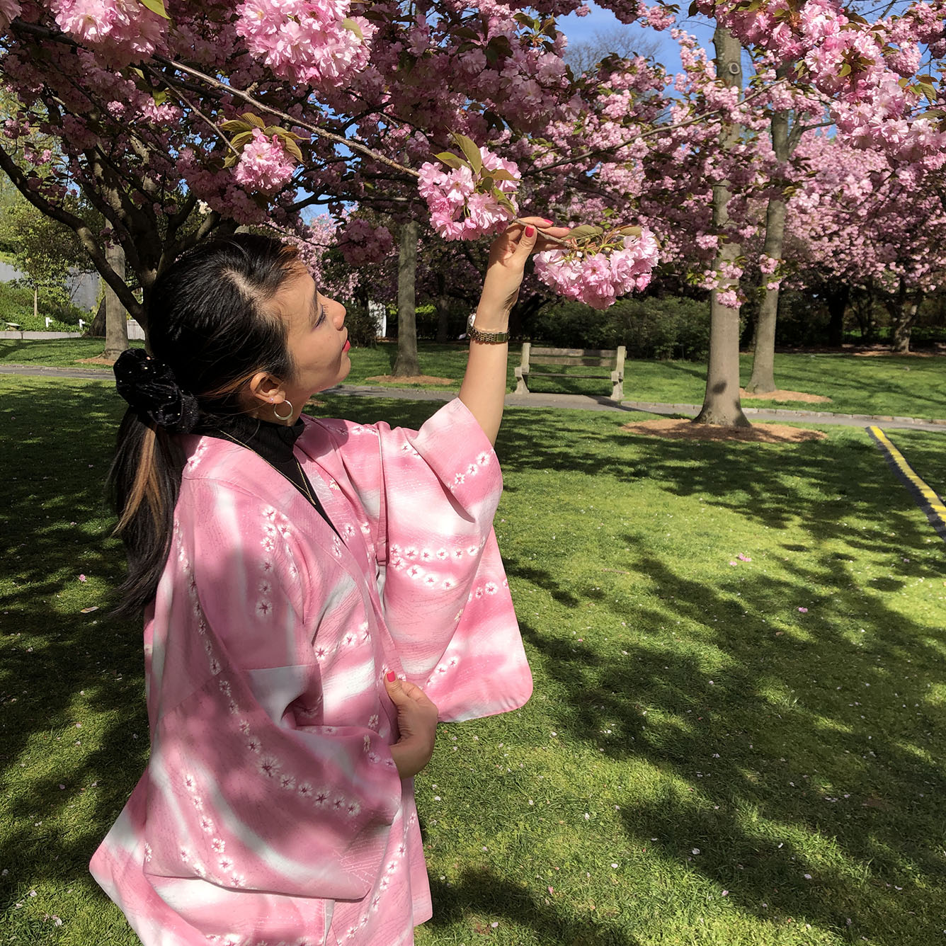 Brooklyn Botanic Garden