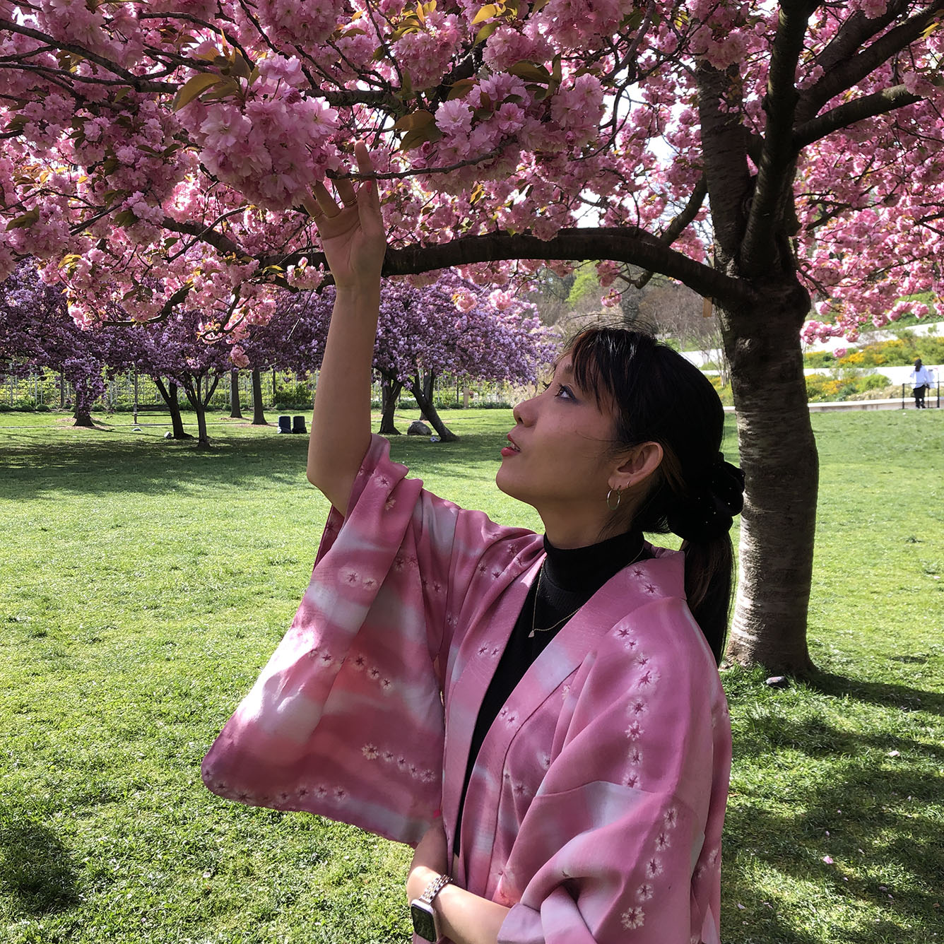 Brooklyn Botanic Garden