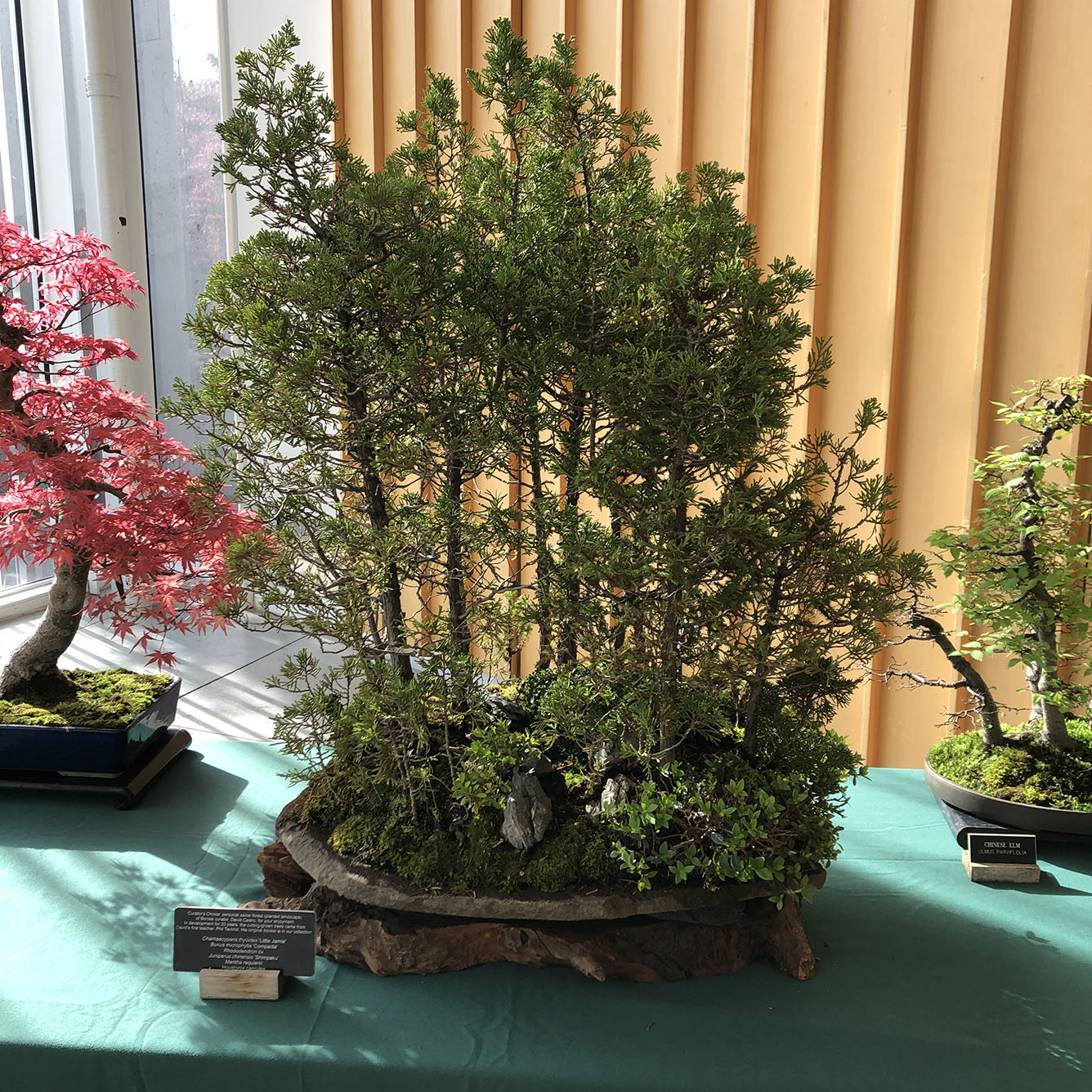 Brooklyn Botanic Garden