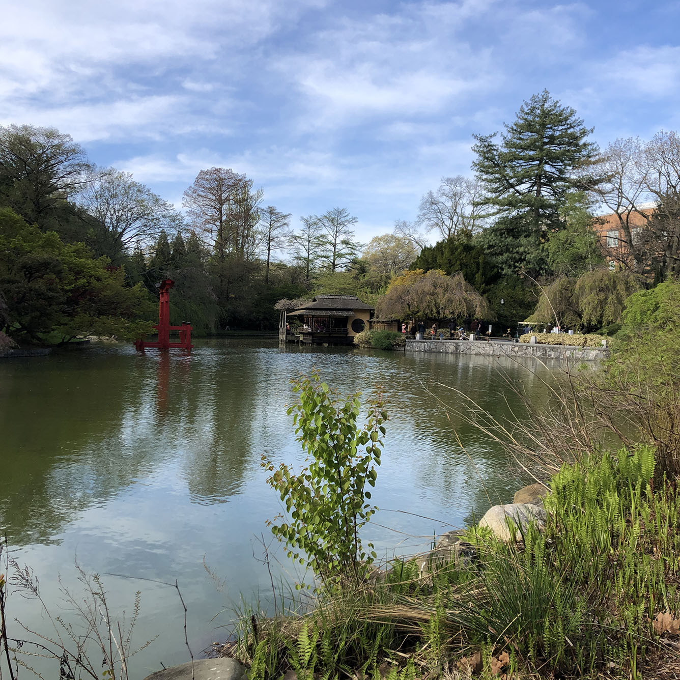 Brooklyn Botanic Garden