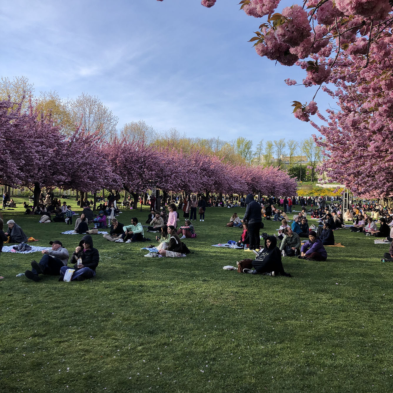 Brooklyn Botanic Garden