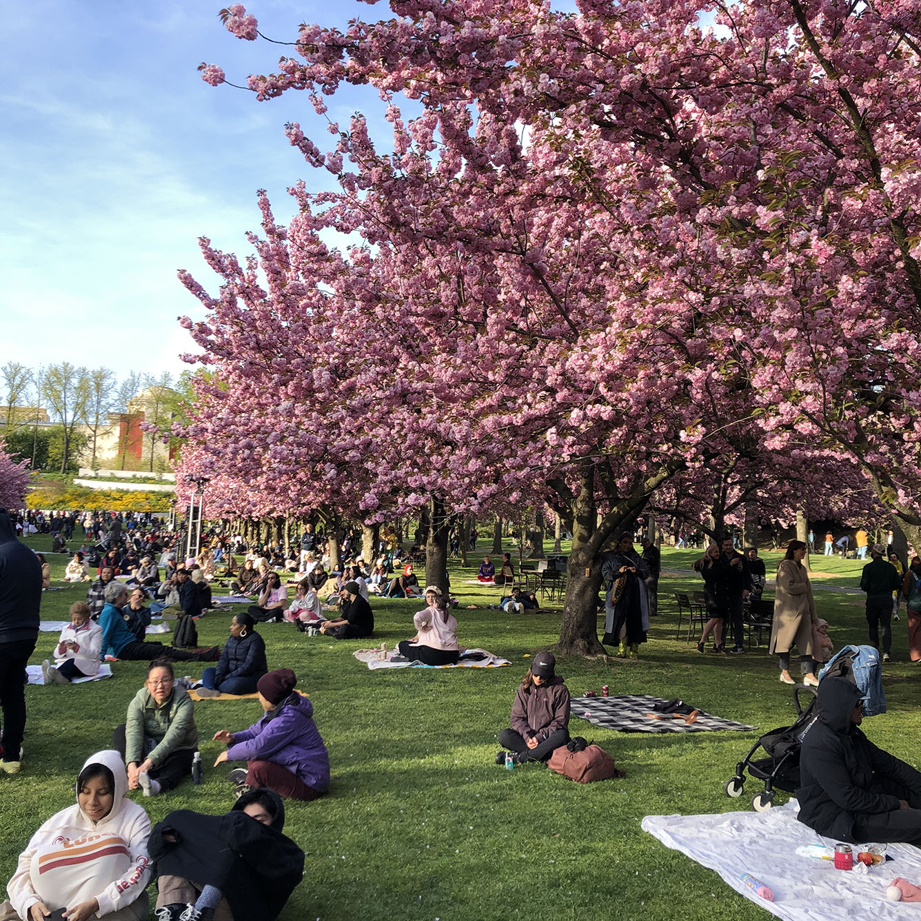 Brooklyn Botanic Garden