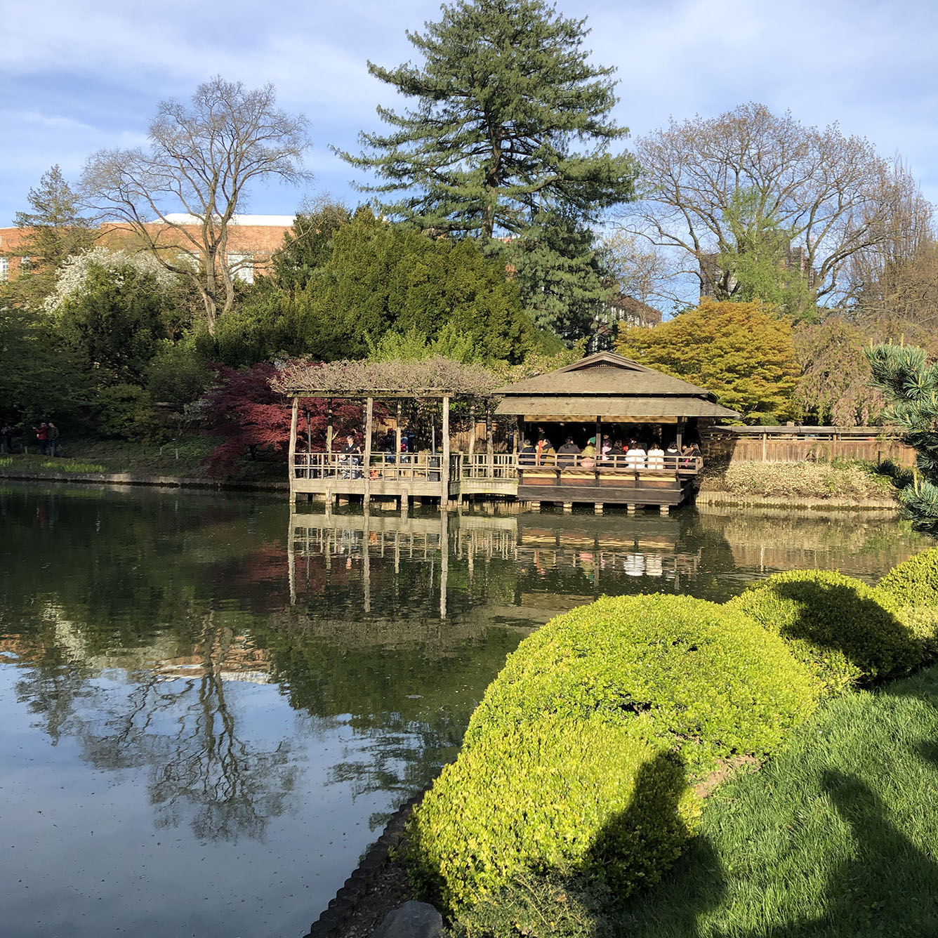 Brooklyn Botanic Garden