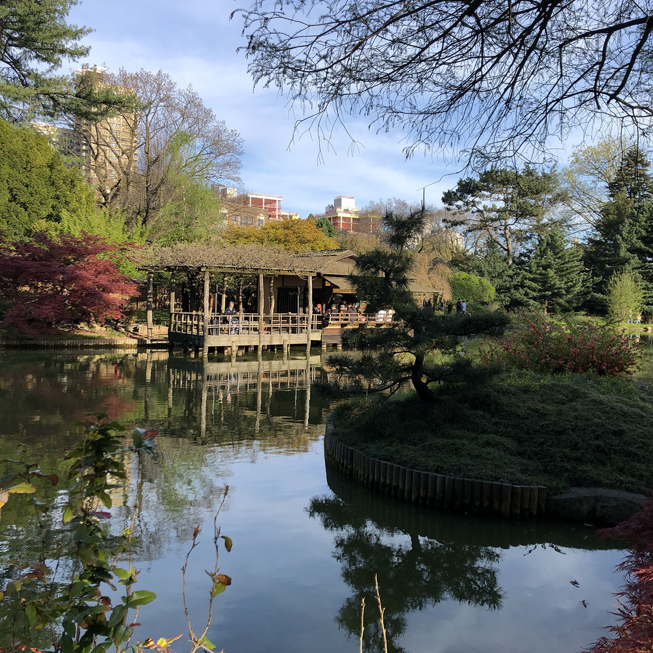 Brooklyn Botanic Garden