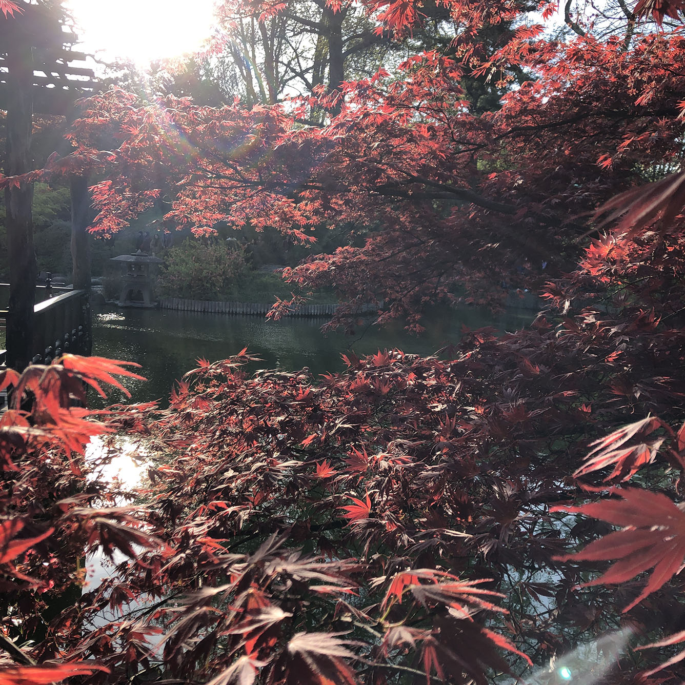 Brooklyn Botanic Garden