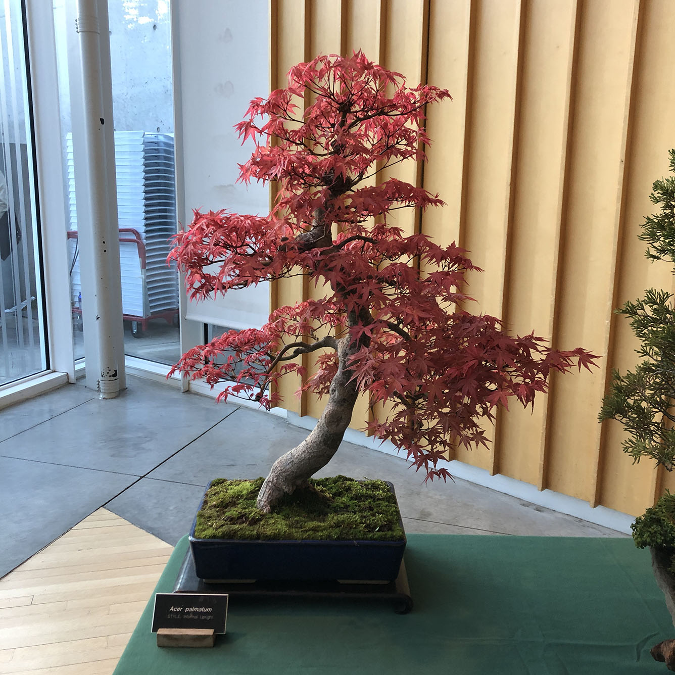 Brooklyn Botanic Garden