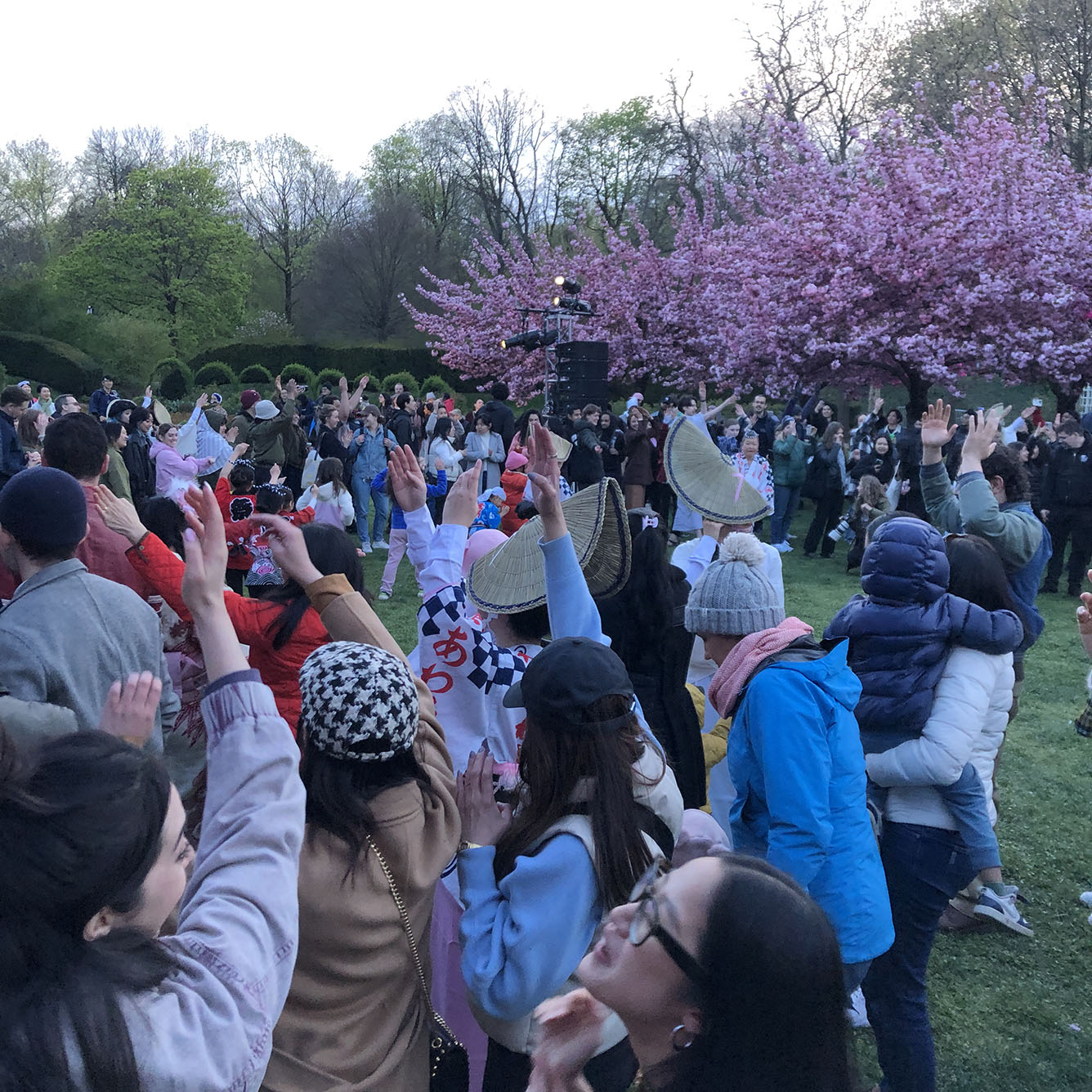 Brooklyn Botanic Garden