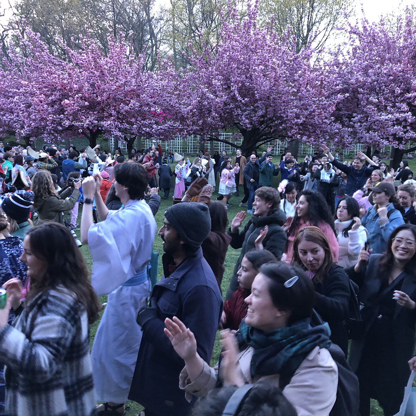 Brooklyn Botanic Garden