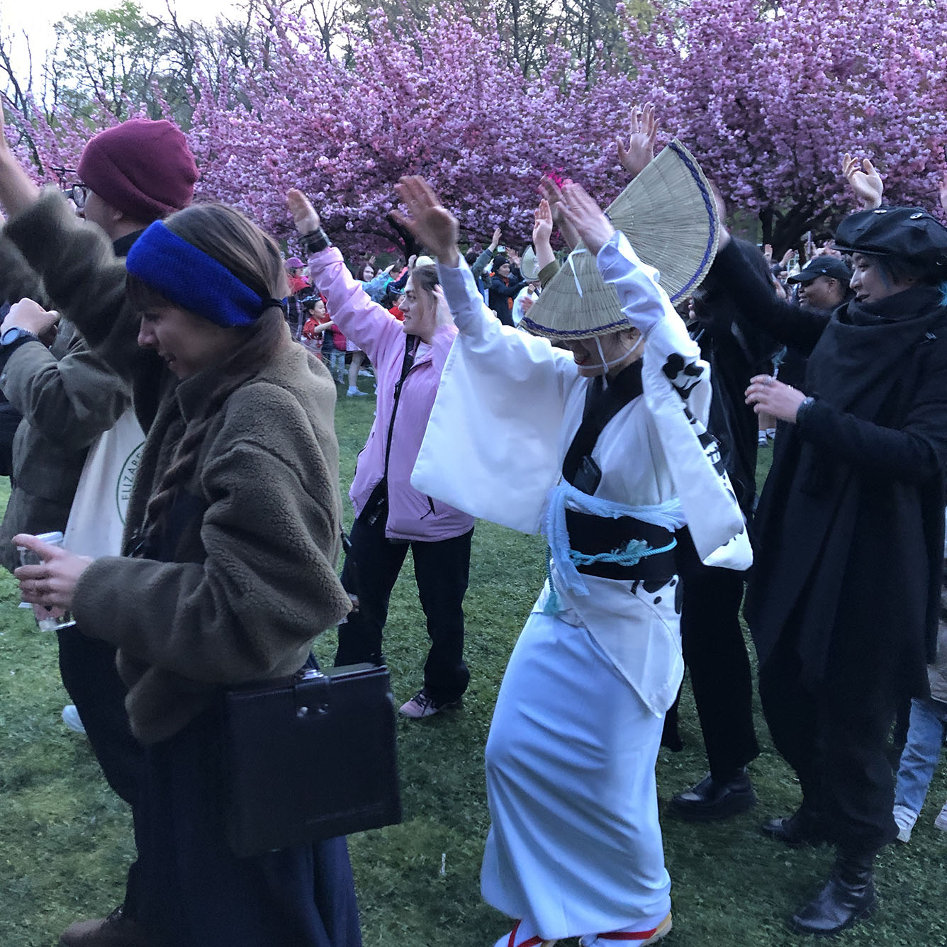 Brooklyn Botanic Garden