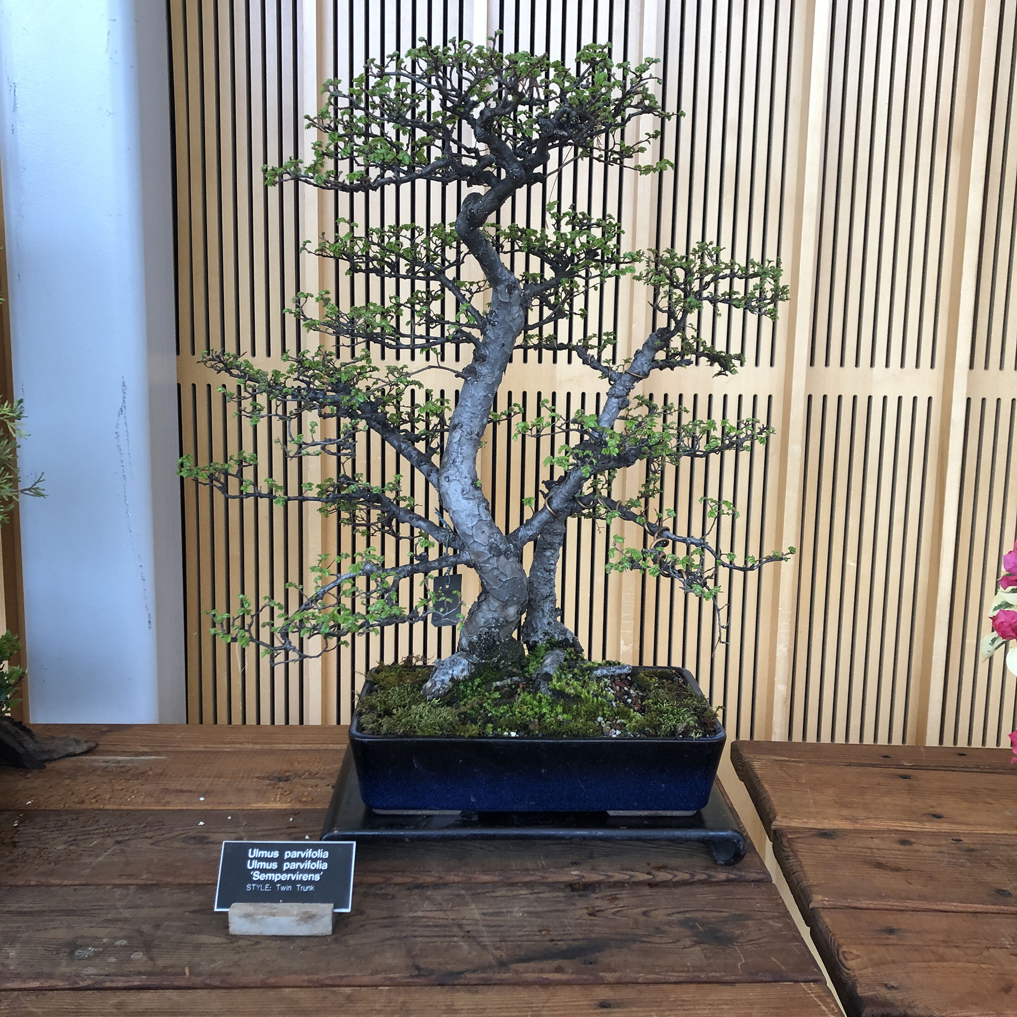 Brooklyn Botanic Garden