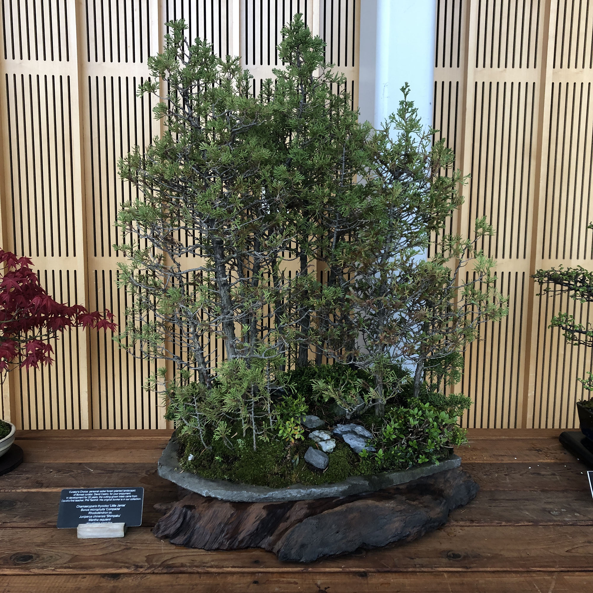 Brooklyn Botanic Garden