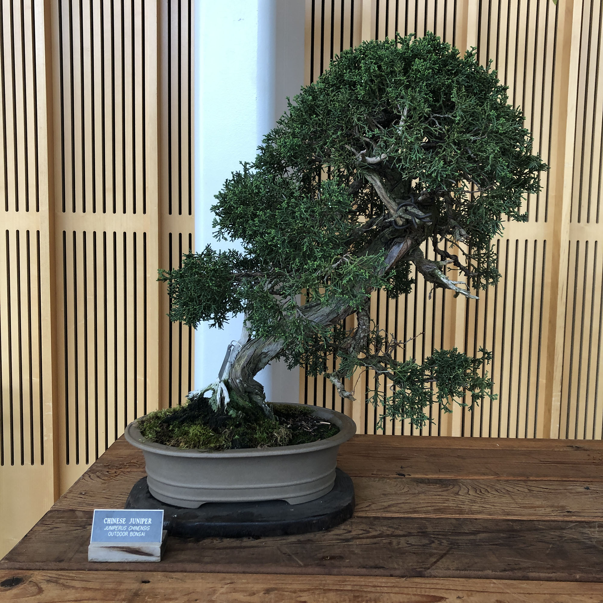 Brooklyn Botanic Garden
