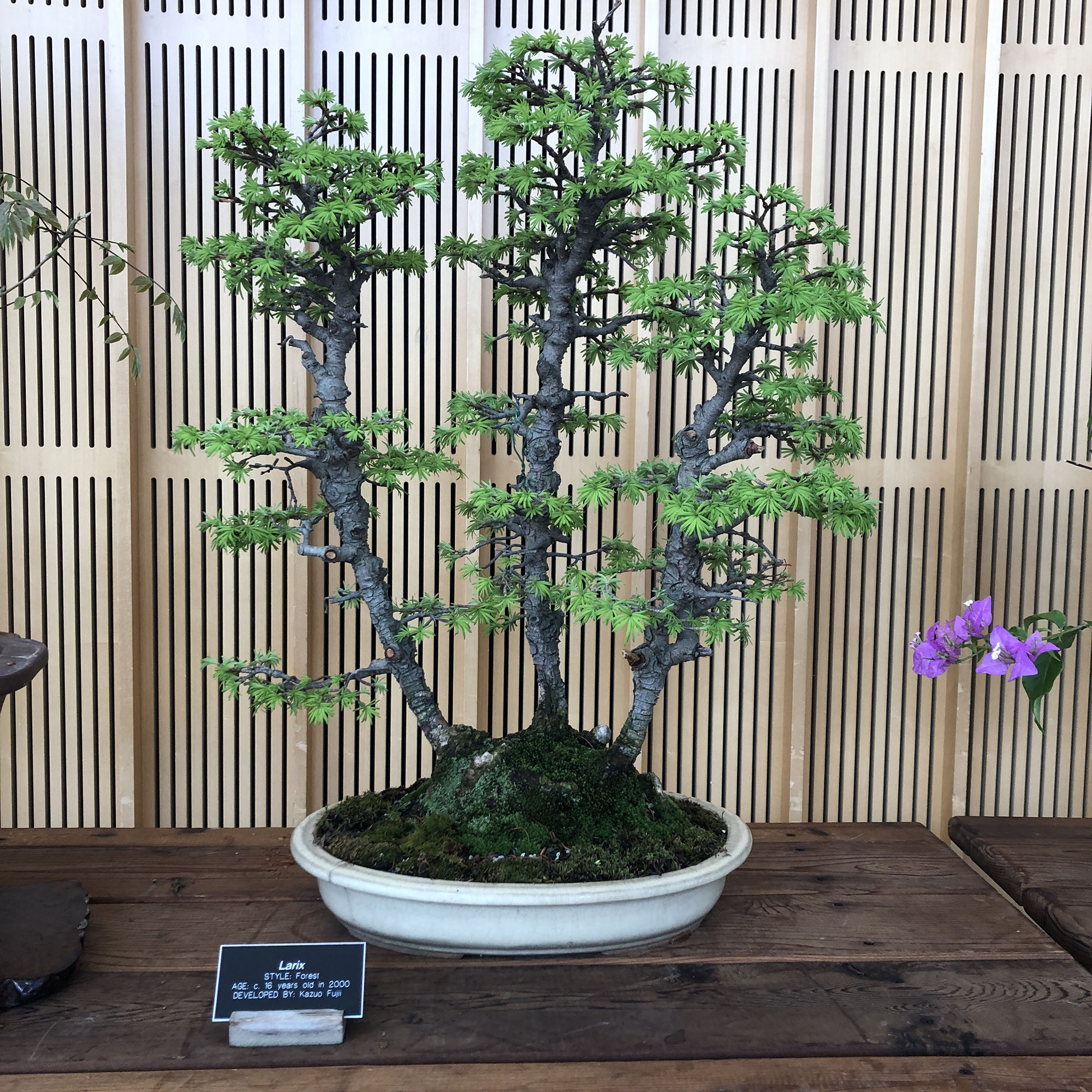 Brooklyn Botanic Garden