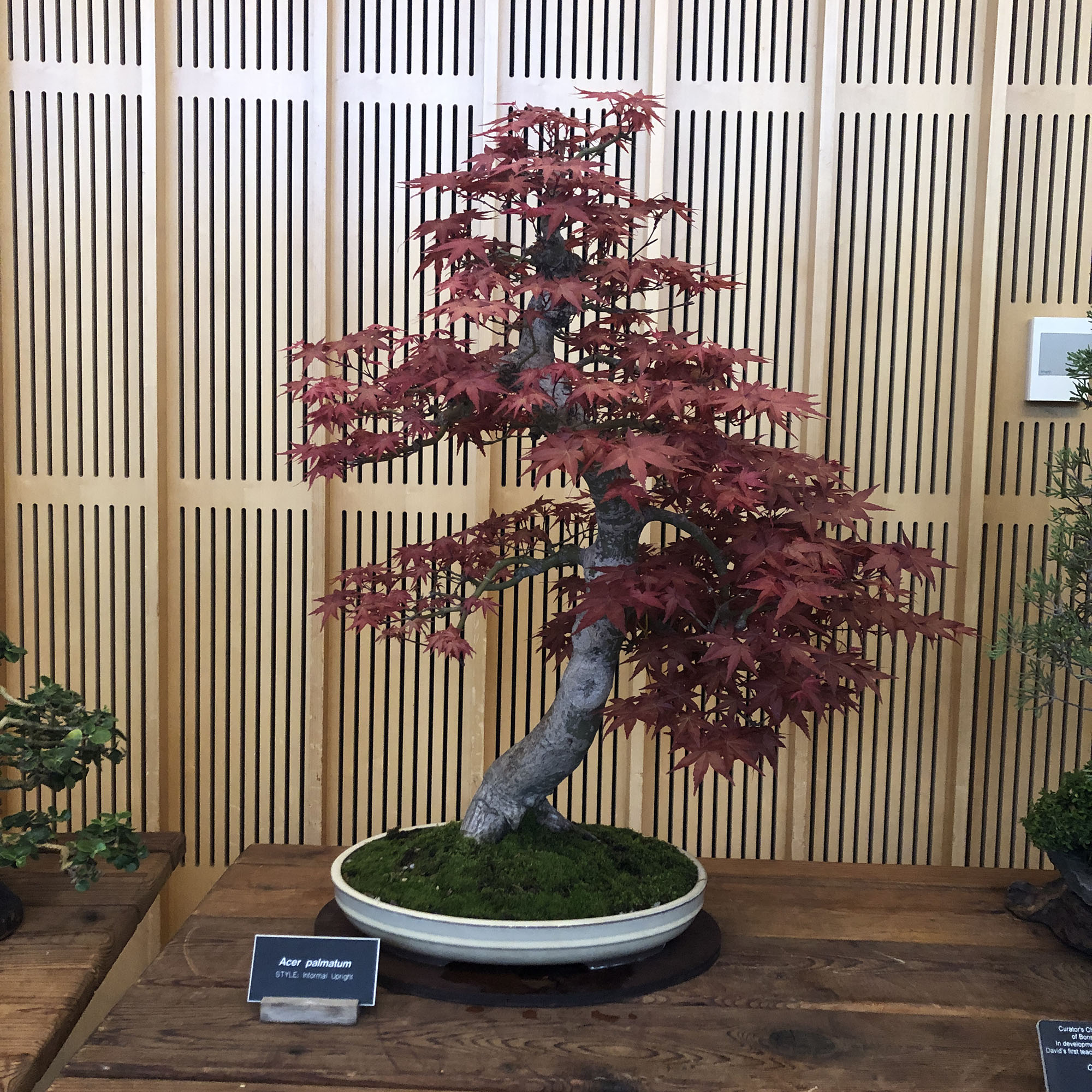 Brooklyn Botanic Garden