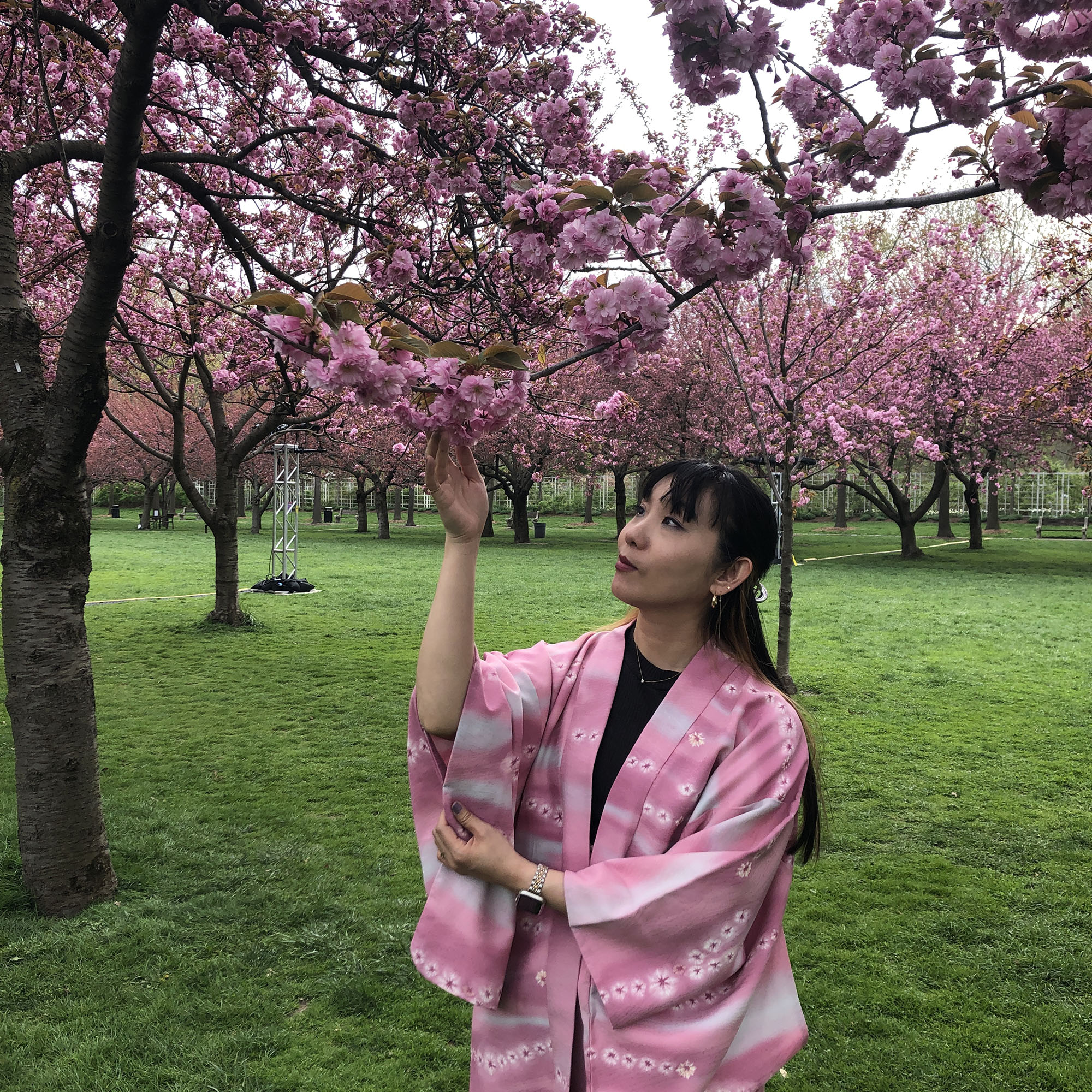 Brooklyn Botanic Garden
