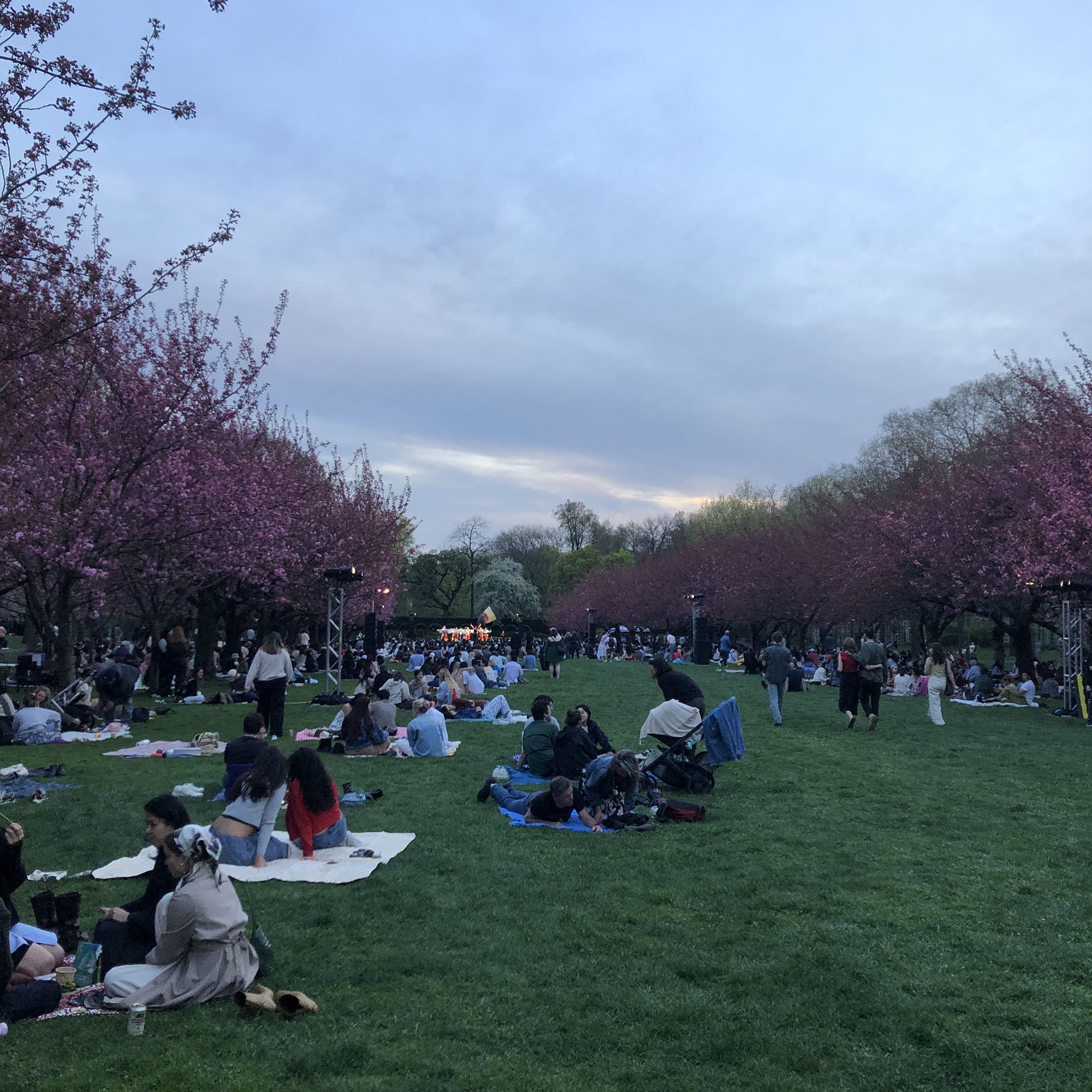 Brooklyn Botanic Garden