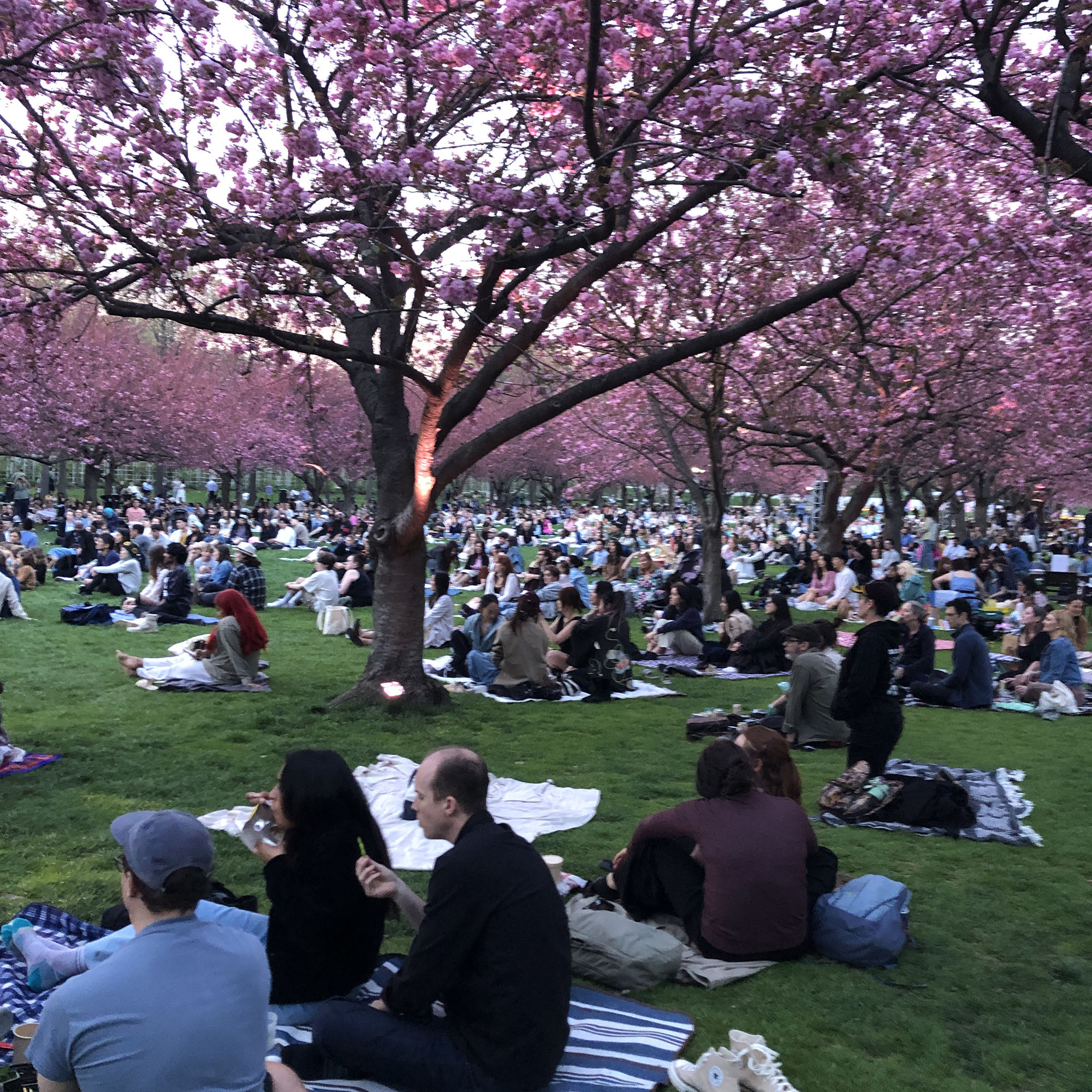 Brooklyn Botanic Garden