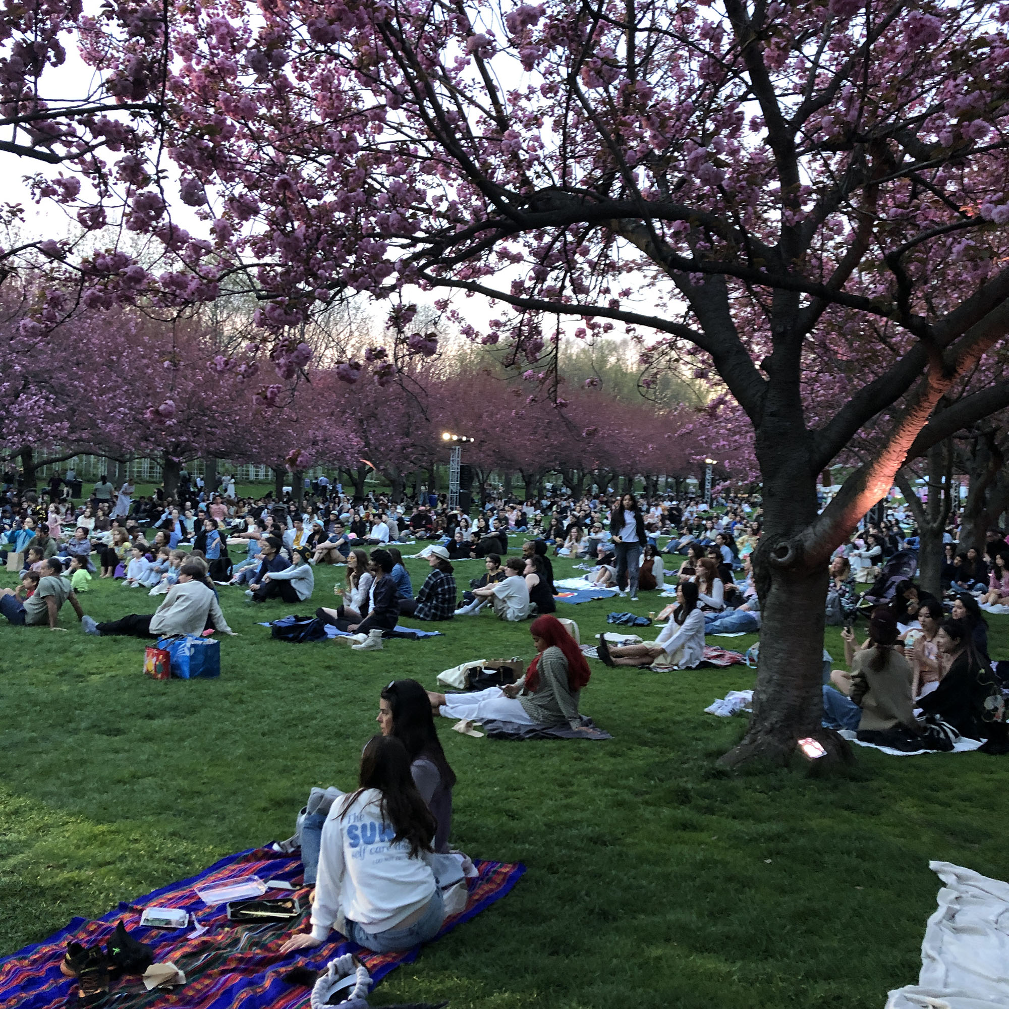 Brooklyn Botanic Garden