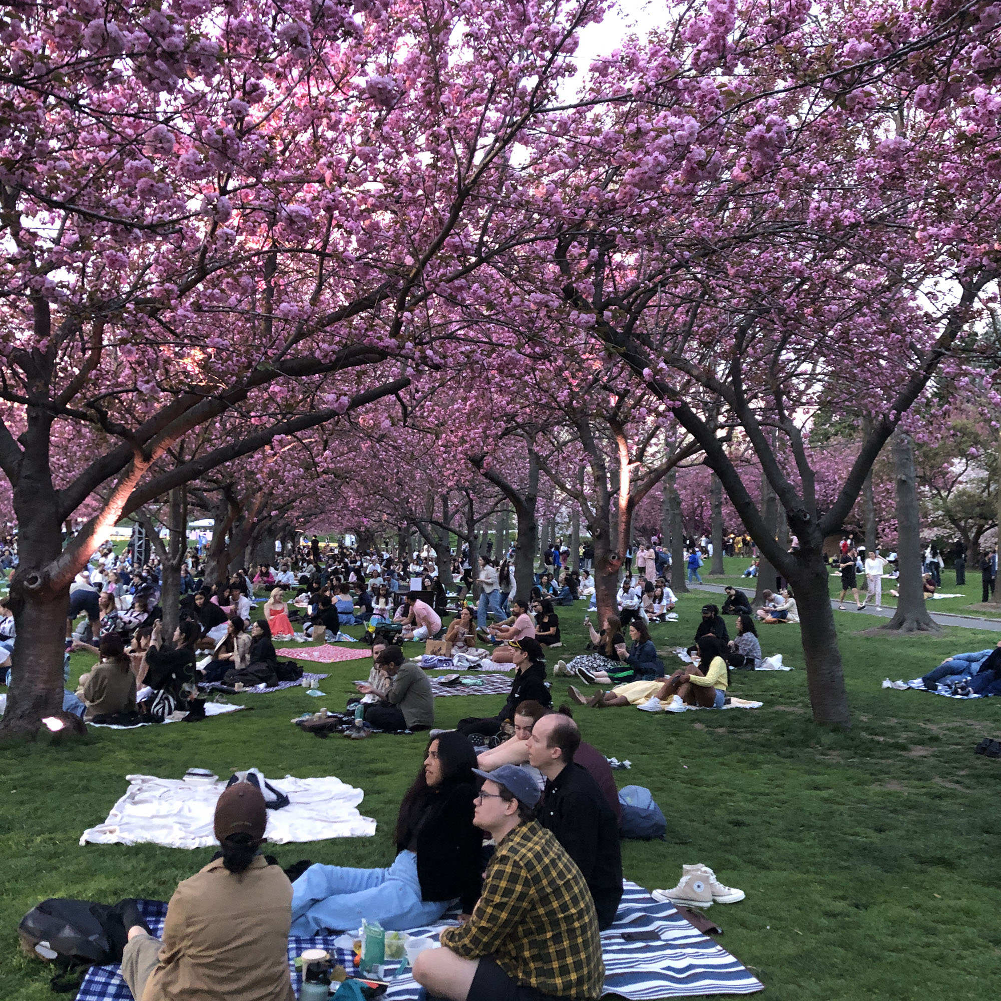 Brooklyn Botanic Garden