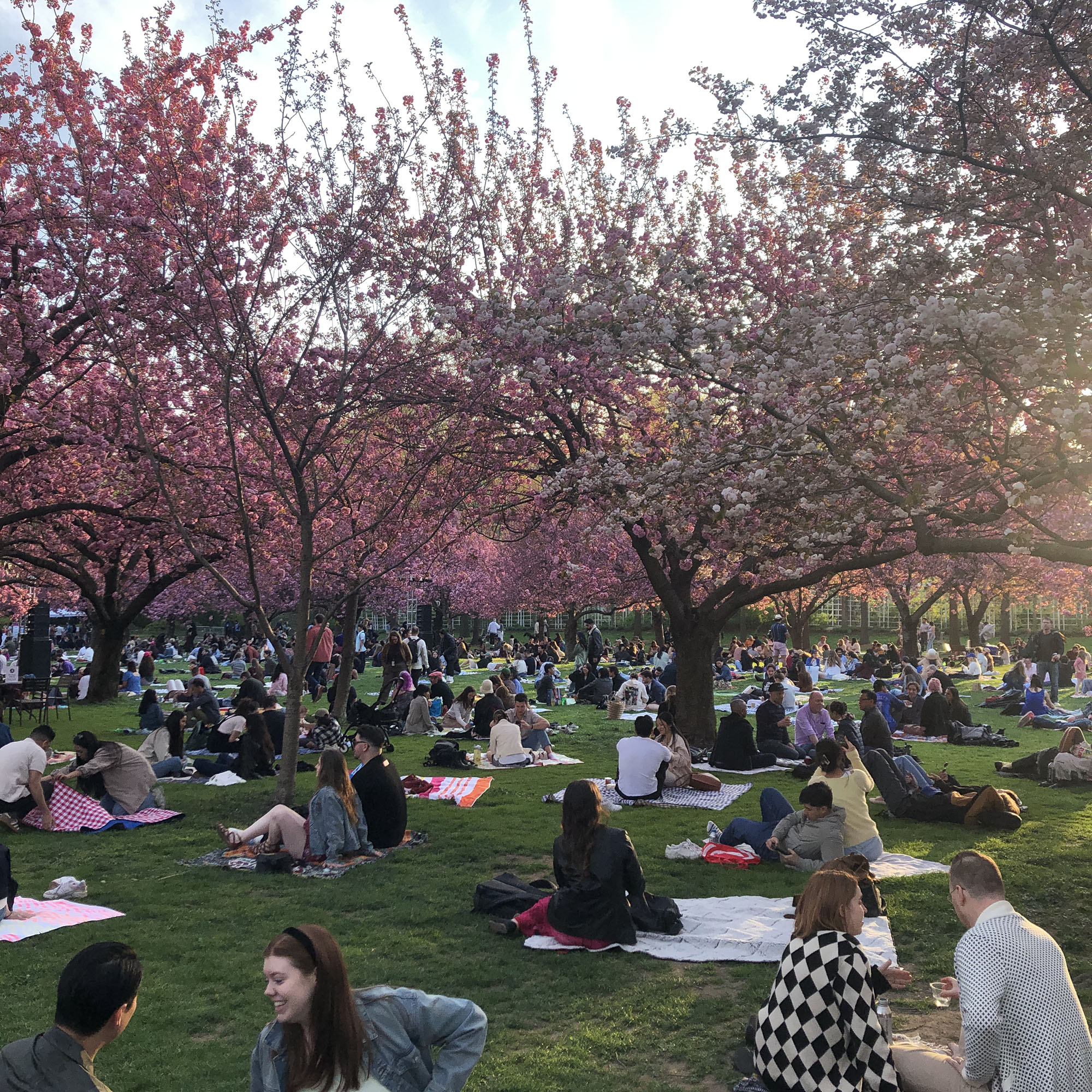 Brooklyn Botanic Garden
