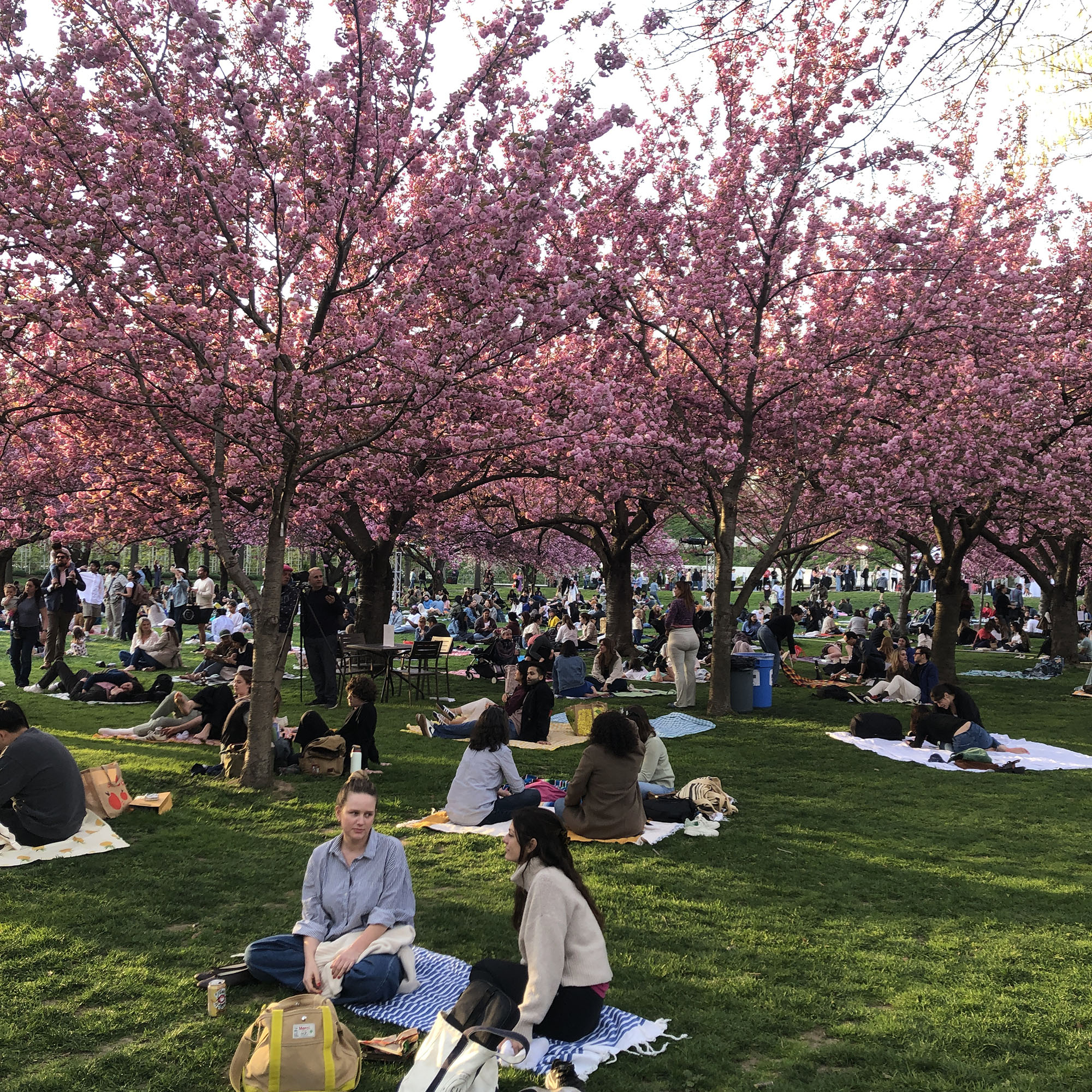 Brooklyn Botanic Garden