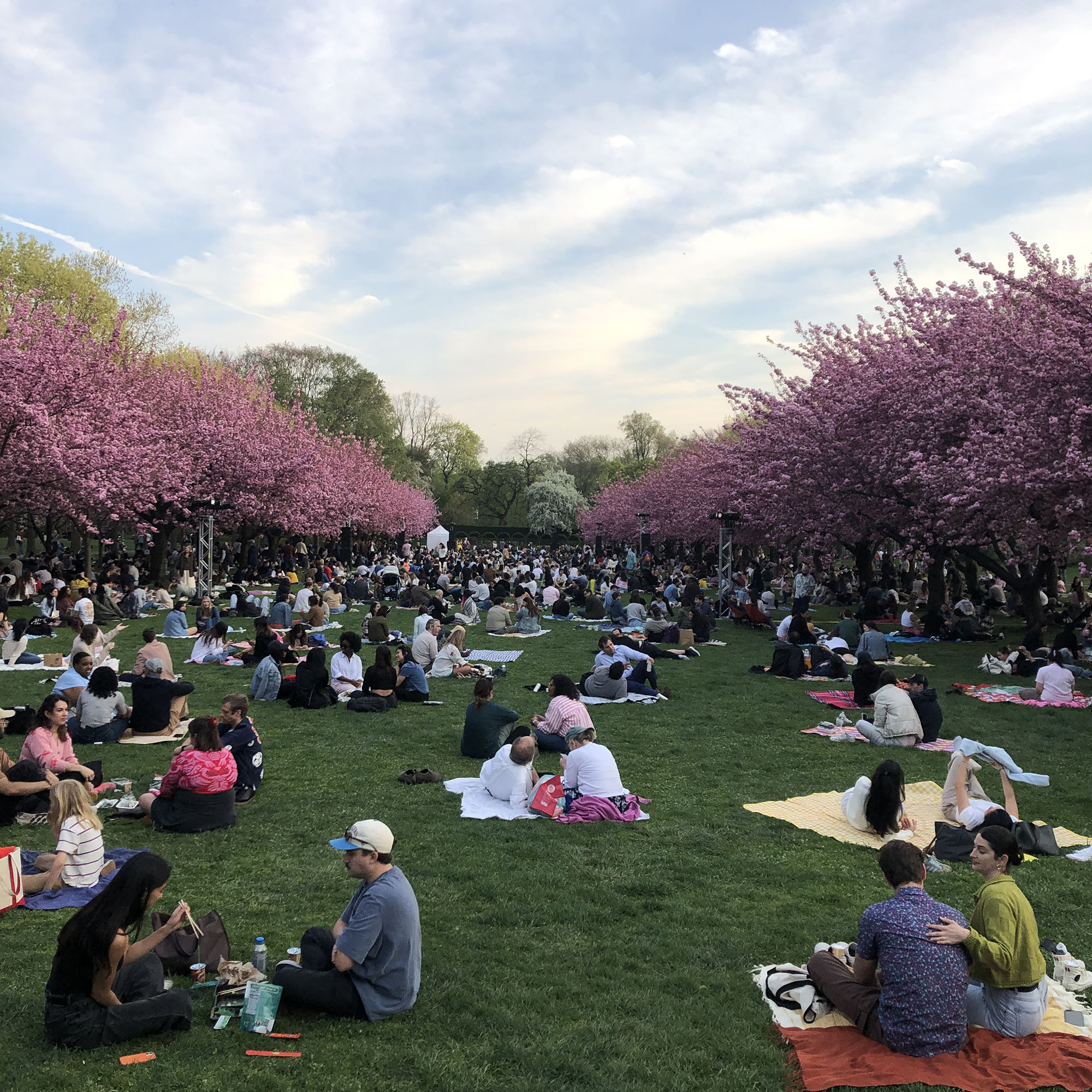 Brooklyn Botanic Garden