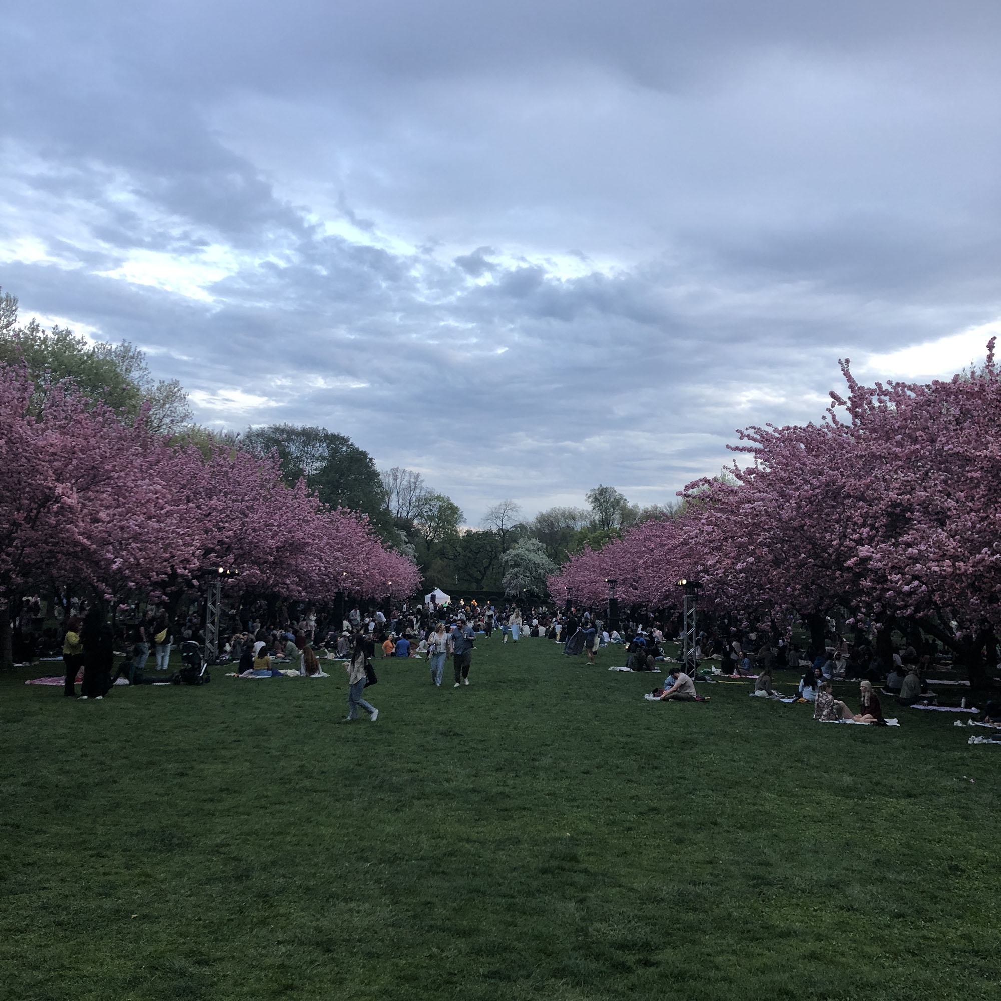 Brooklyn Botanic Garden