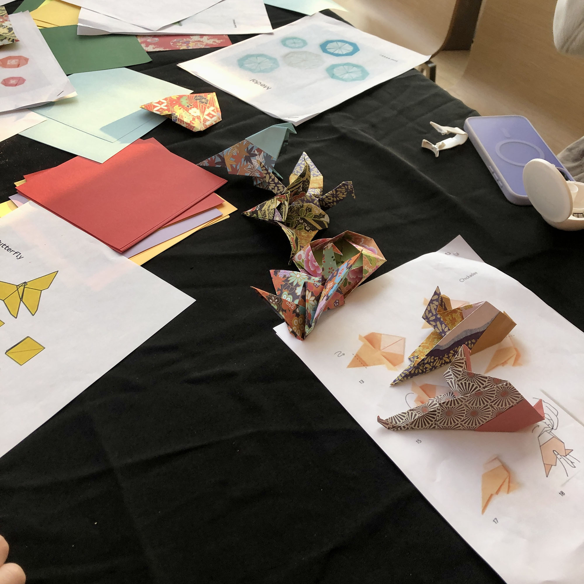 Brooklyn Botanic: Hanami Nights