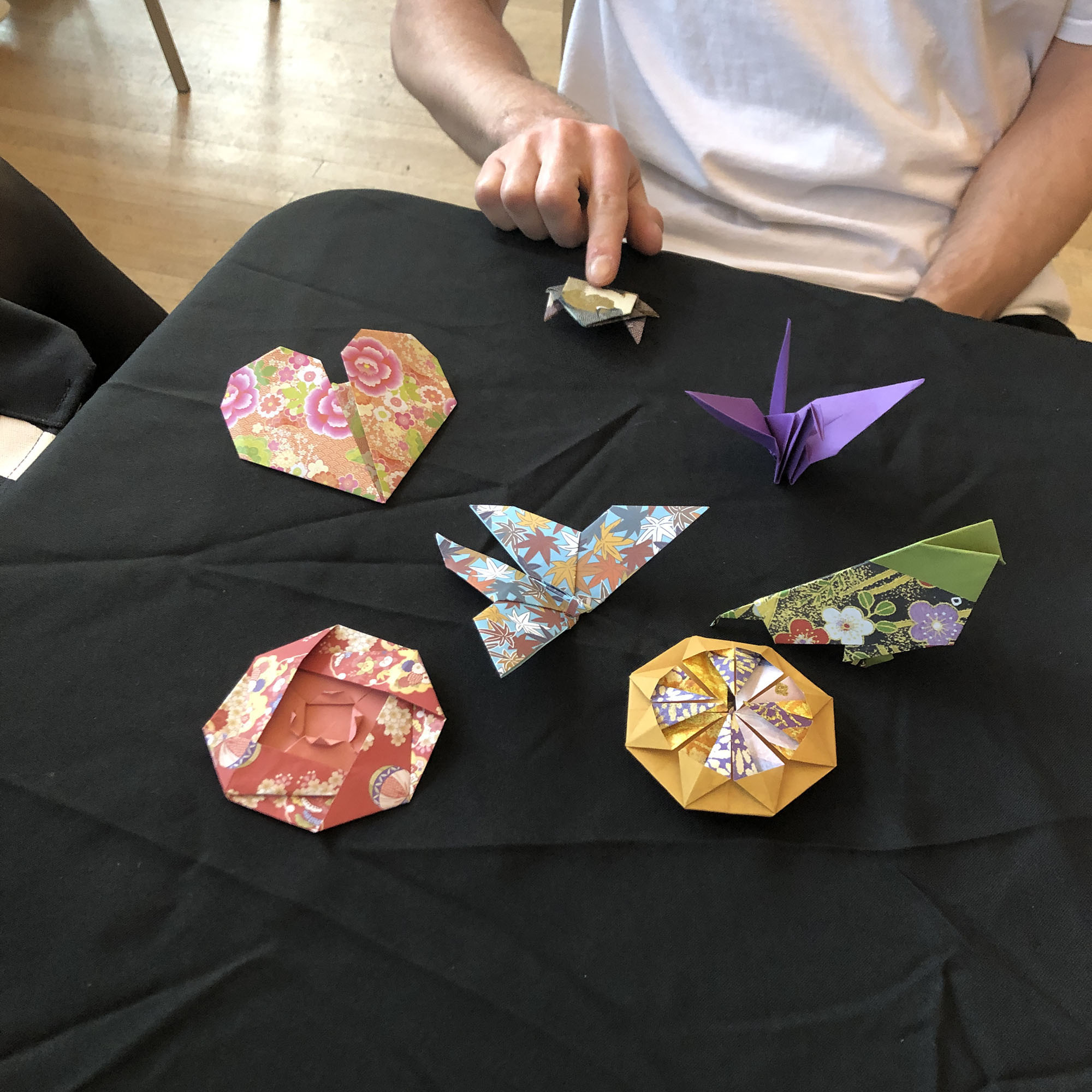 Brooklyn Botanic: Hanami Nights