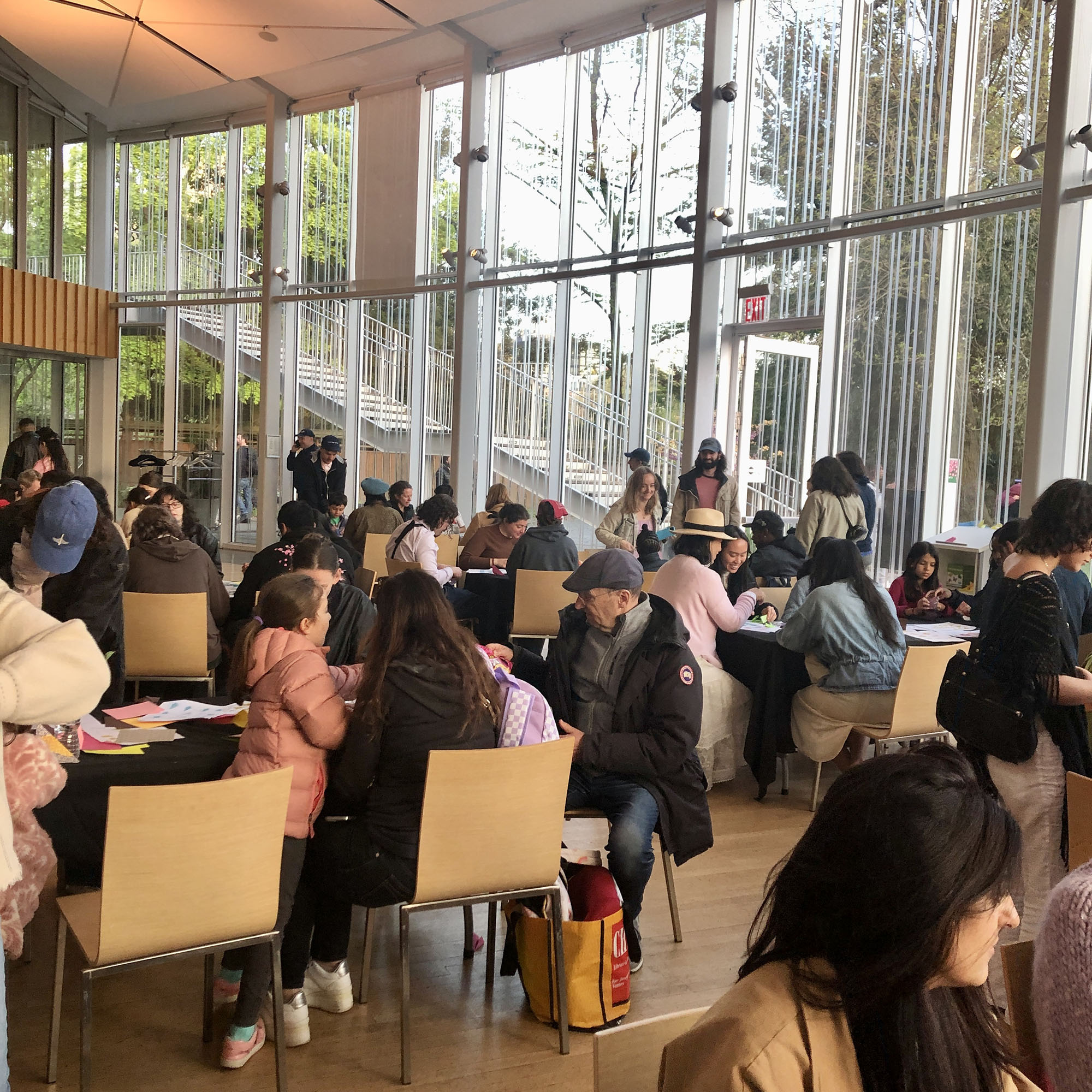 Brooklyn Botanic: Hanami Nights