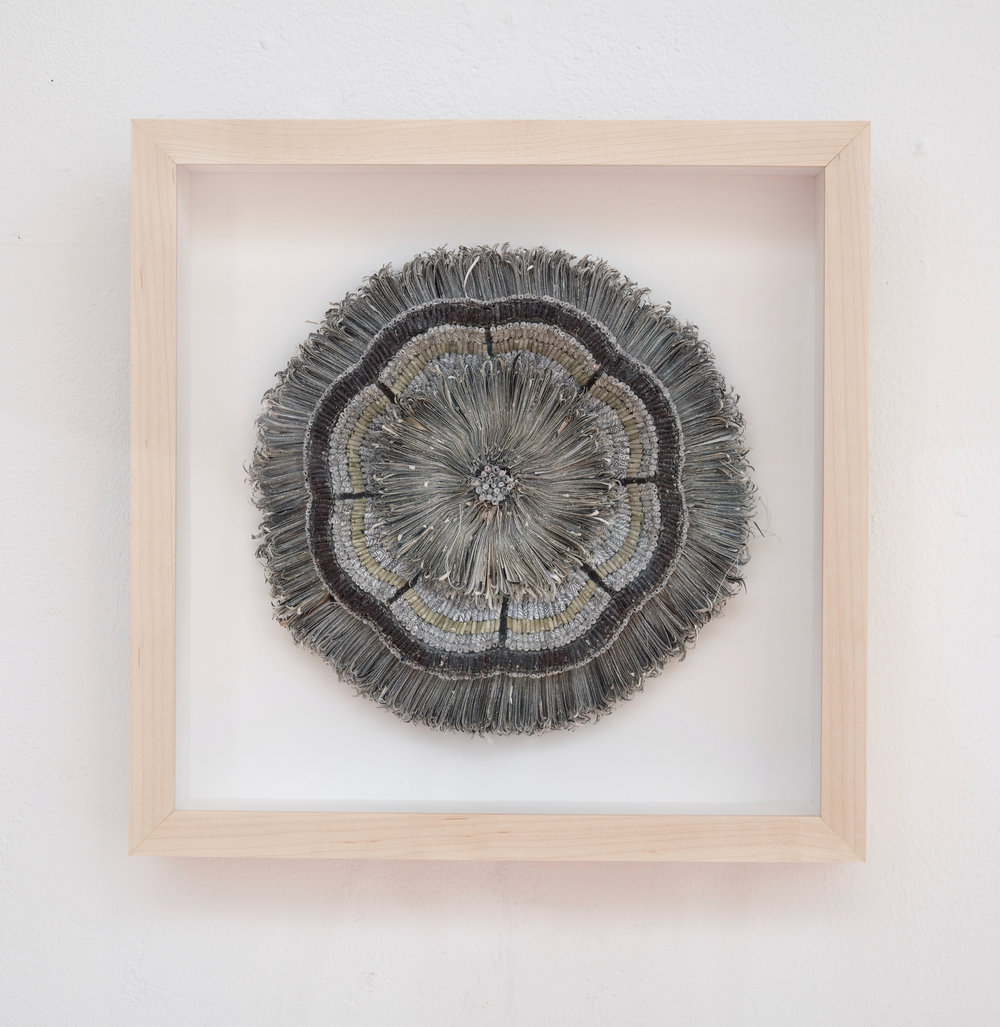 jaynie crimmins
