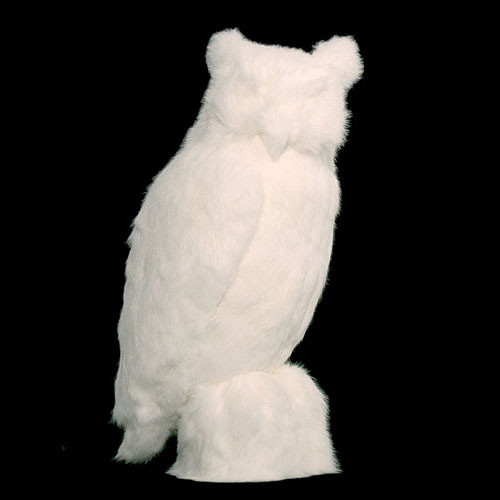 Fur Owl 2003